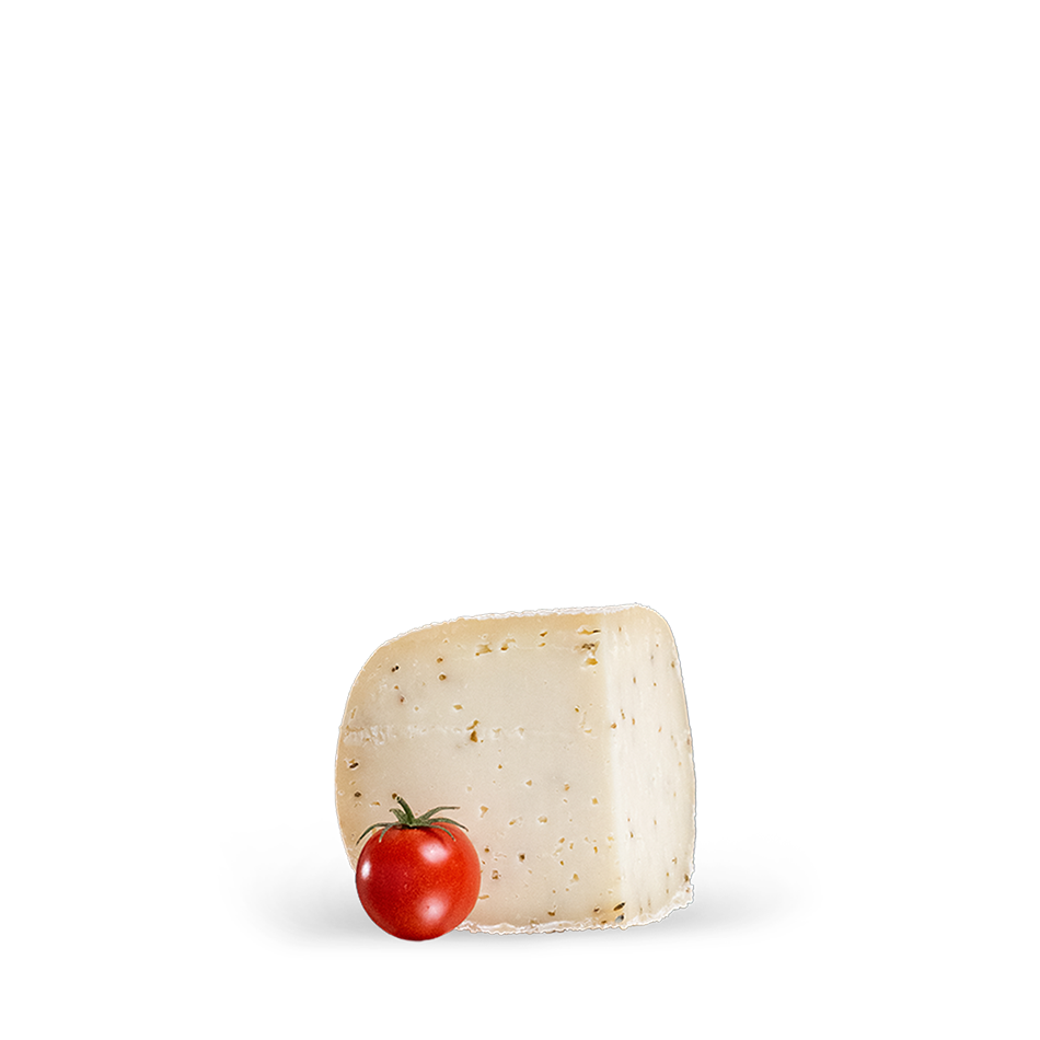 Campì semi di finocchio – Caciotta di bufala con semi di finocchio