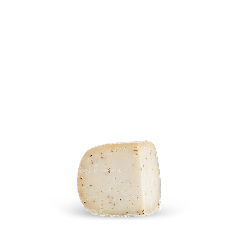 Campì semi di finocchio – Caciotta di bufala con semi di finocchio