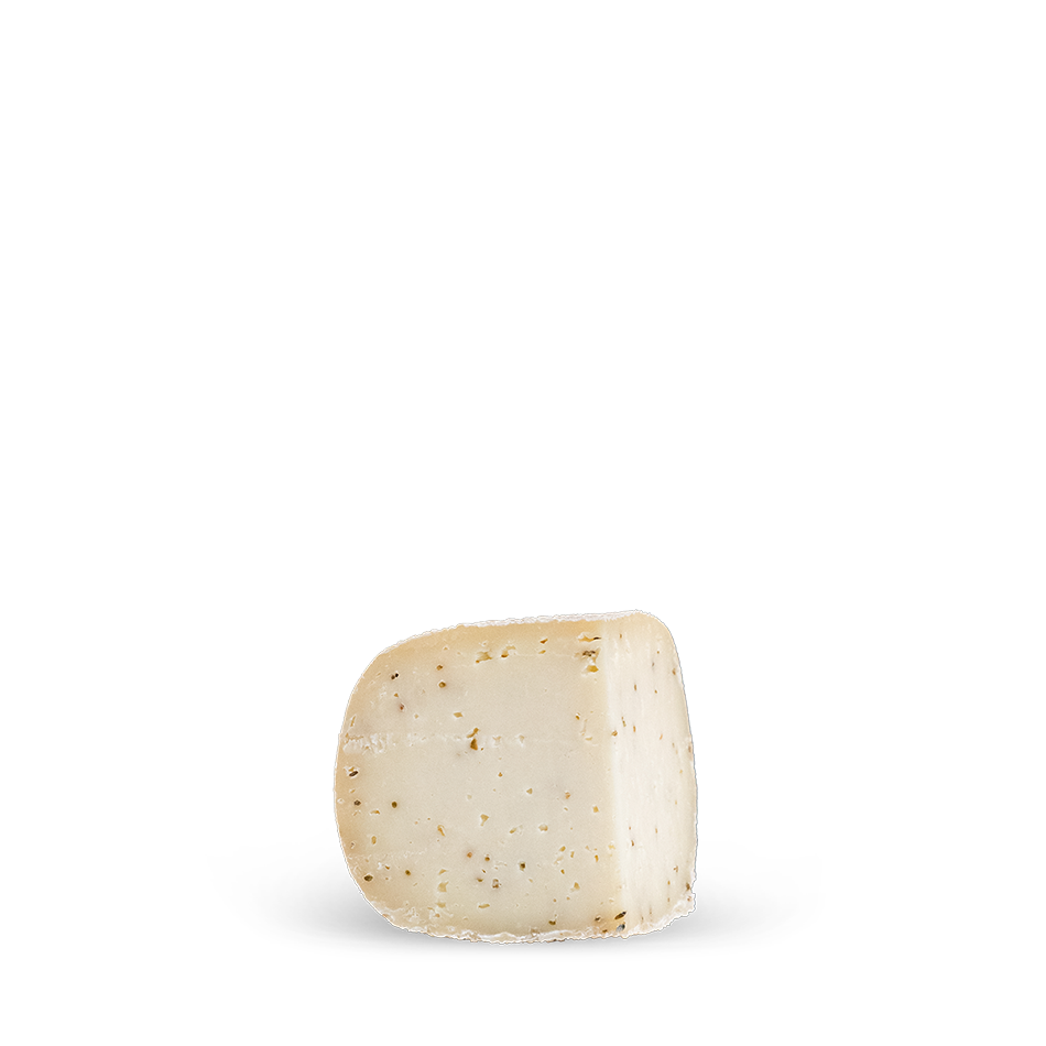 Campì semi di finocchio – Caciotta di bufala con semi di finocchio