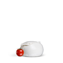 Mozzarella da 500g - 100% latte di bufala
