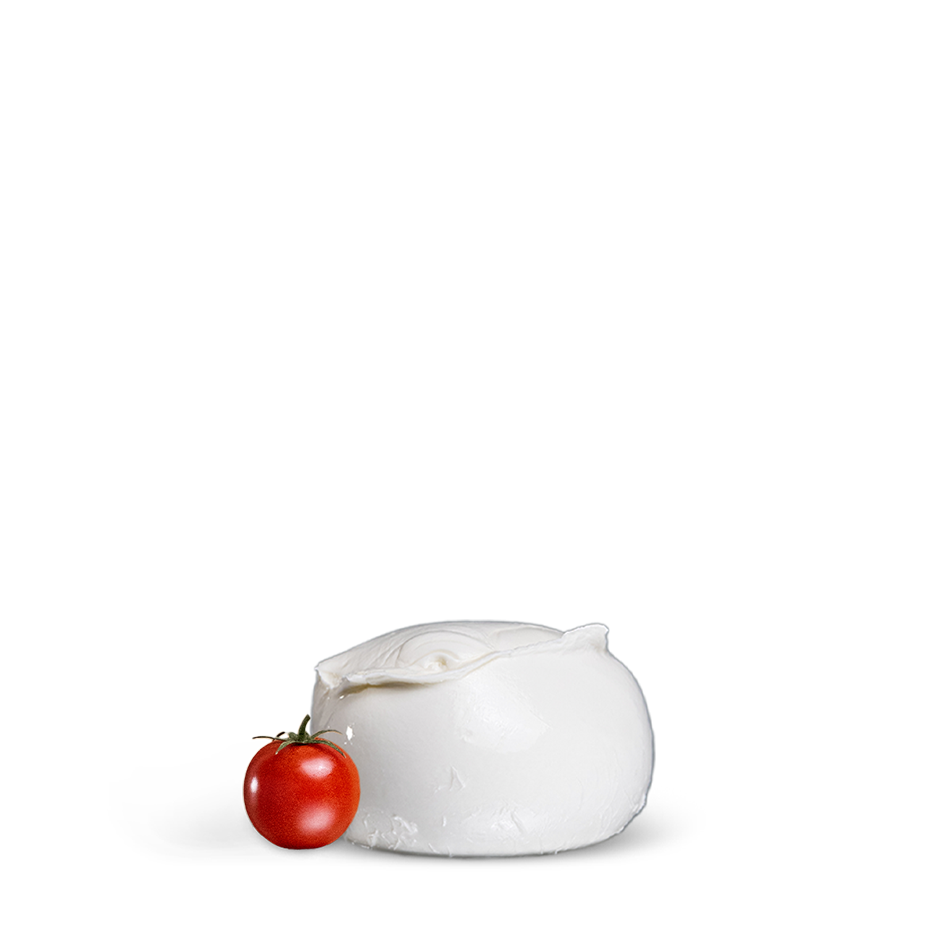Mozzarella da 500g - 100% latte di bufala