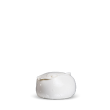 Mozzarella da 500g - 100% latte di bufala