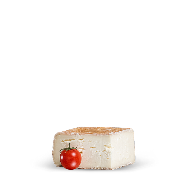 Quadrello – Formaggio di bufala a pasta molle e crosta lavata
