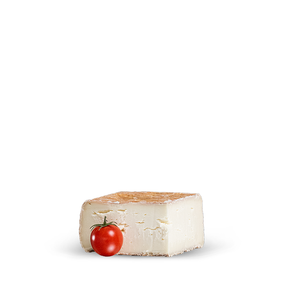 Quadrello – Formaggio di bufala a pasta molle e crosta lavata